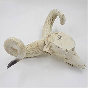 土偶 羊 動物俑 動物彫刻 Creature” 展 より 伊藤慶二 《亥・申・羊》 1993-2016 13.5×6.5